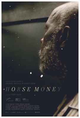 马钱 Cavalo Dinheiro (2014)海报