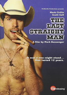 最后的直男 The Last Straight Man (2014)海报