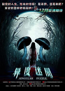 异度迷局 (2012)海报