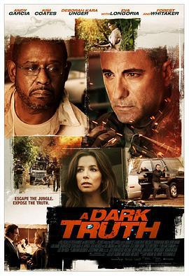 黑暗真相 A Dark Truth (2012)海报