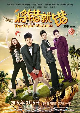 将错就错 (2015)海报