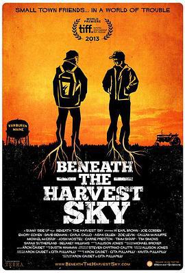 收获的天空下 Beneath the Harvest Sky (2013)海报
