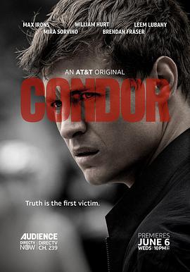 秃鹰 第一季 Condor Season 1 (2018)海报