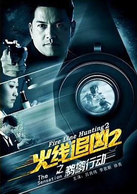 火线追凶2之鹈鹕行动 (2013)海报