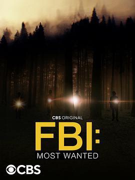 联邦调查局：通缉要犯 第四季 FBI: Most Wanted Season 4 (2022)海报
