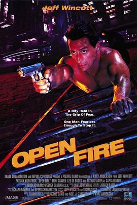 孤胆英雄 Open Fire (1994)海报