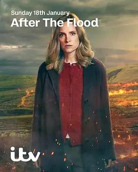 洪水之后 第二季 After The Flood Season 2 (2026)海报