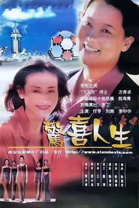 惊喜人生 (1999)海报