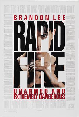 龙霸天下 Rapid Fire (1992)海报