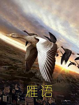 雁语 (2012)海报