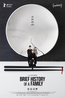 家庭简史 (2024)海报
