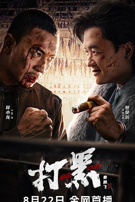 打黑 (2024)海报