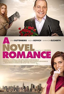 虚幻罗曼史 A Novel Romance (2011)海报