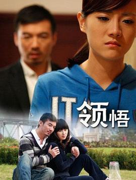 领悟 (2011)海报