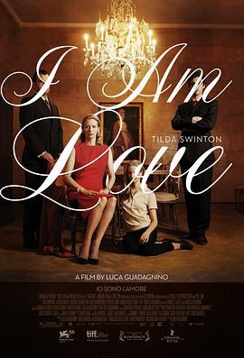我是爱 Io sono l'amore (2009)海报