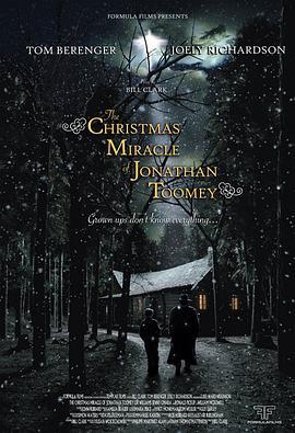 乔娜莎·图米的圣诞奇迹 The Christmas Miracle of Jonathan Toomey (2007)海报