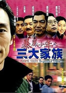 暴风少年之三大家族 (2001)海报