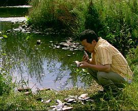 来福，来福 (2011)海报