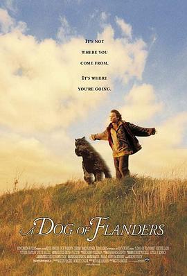 义犬报恩 A Dog of Flanders (1999)海报