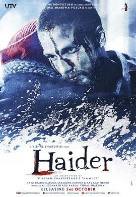 海德尔 Haider (2014)海报