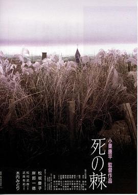 死之棘 死の棘 (1990)海报