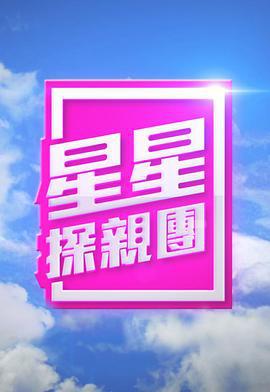星星探亲团 (2016)海报