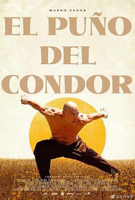 雕形拳 El Puño del Cóndor (2023)海报