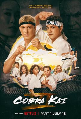 眼镜蛇 第六季 Cobra Kai Season 6 (2024)海报