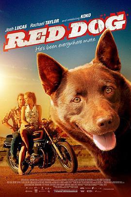 红犬历险记 Red Dog (2011)海报