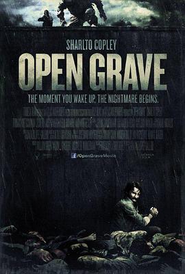 开棺 Open Grave (2013)海报