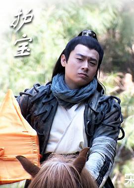 护宝 (2011)海报