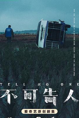 不可告人 (2024)海报