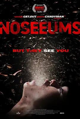 荒坟异兆 Noseeums (2025)海报