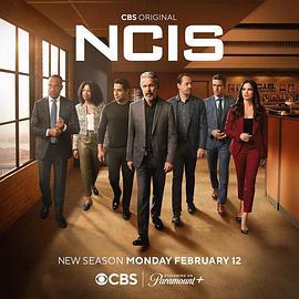 海军罪案调查处 第二十一季 NCIS Season 21 (2024)海报