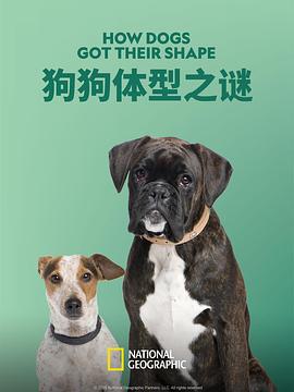 狗狗体型之谜 How Dogs Got Their Shapes (2016)海报