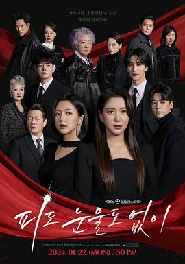 无血无泪 피도 눈물도 없이 (2024)海报