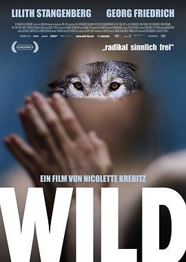 狂野 Wild (2016)海报