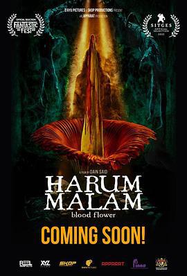 血忌 Harum Malam (2022)海报