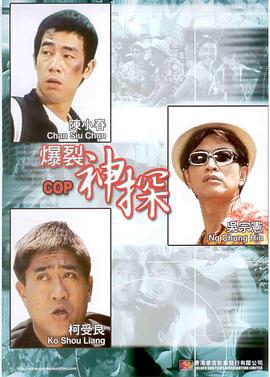 爆裂神探 (1999)海报