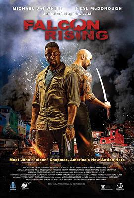 猎鹰突起 Falcon Rising (2014)海报