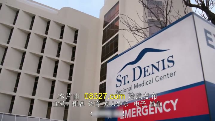 圣丹尼斯医院 St. Denis Medical (2024)海报