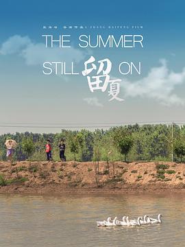 留夏 (2017)海报