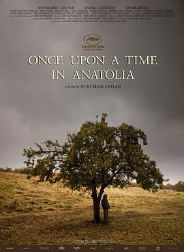 小亚细亚往事 Bir Zamanlar Anadolu'da (2011)海报