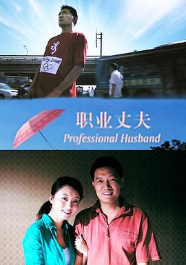 职业丈夫 (2005)海报