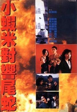 皇家师姐5中间人 皇家師姐5中間人 (1990)海报