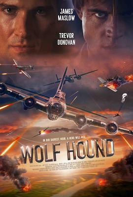 猎狼犬行动 Wolf Hound (2022) bd海报