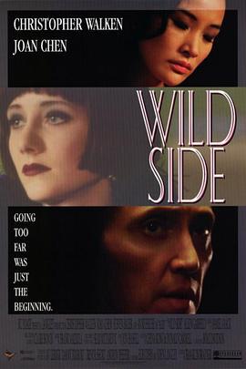 狂野边缘 Wild Side (1995) dvd海报