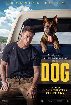 忠犬 Dog (2022)海报