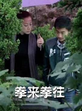 拳来拳往 (2012)海报