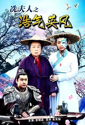 冼夫人之浩气英风 (2017)海报